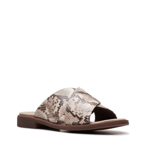 Declan Ivy - Image 2