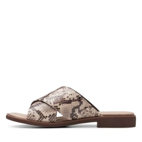 Declan Ivy - Image 5