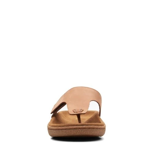 Pilton Post - Image 3